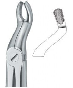 Third Molars 67 A