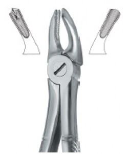 Molars , Right 39R