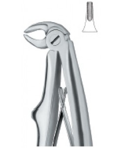 Incisors 5